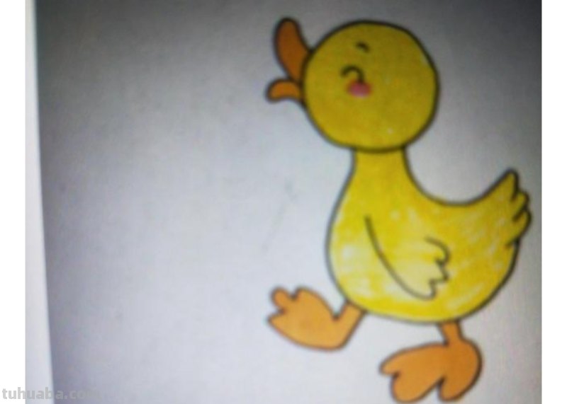 鸭子简笔画怎么画（鸭子简笔画怎么画最简单又好）