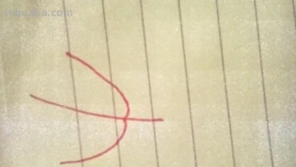 叶子怎么画简笔画(夏天的叶子怎么画简笔画) 叶子怎么画简笔画(夏天的叶子怎么画简笔画)