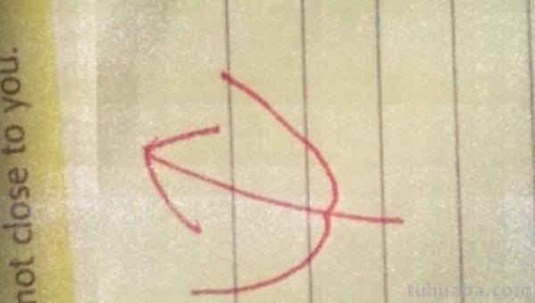 叶子怎么画简笔画(夏天的叶子怎么画简笔画) 叶子怎么画简笔画(夏天的叶子怎么画简笔画)