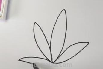 叶子怎么画简笔画(夏天的叶子怎么画简笔画) 叶子怎么画简笔画(夏天的叶子怎么画简笔画)