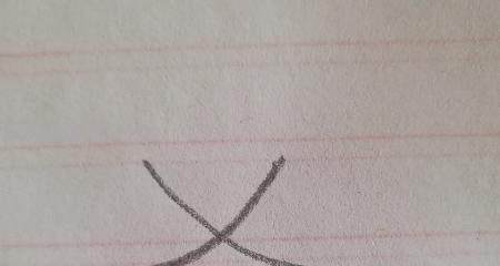 叶子怎么画简笔画(夏天的叶子怎么画简笔画) 叶子怎么画简笔画(夏天的叶子怎么画简笔画)