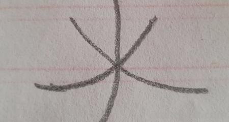 叶子怎么画简笔画(夏天的叶子怎么画简笔画) 叶子怎么画简笔画(夏天的叶子怎么画简笔画)