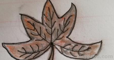 叶子怎么画简笔画(夏天的叶子怎么画简笔画) 叶子怎么画简笔画(夏天的叶子怎么画简笔画)