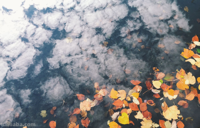 这5个摄影技巧，3句摄影口诀，可能帮你拍出更漂亮的照片