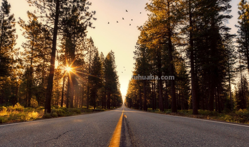 这5个摄影技巧，3句摄影口诀，可能帮你拍出更漂亮的照片