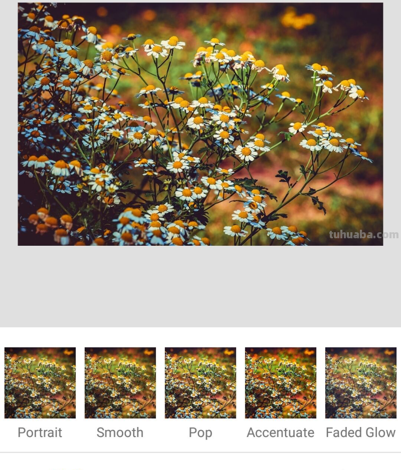 这5个摄影技巧，3句摄影口诀，可能帮你拍出更漂亮的照片