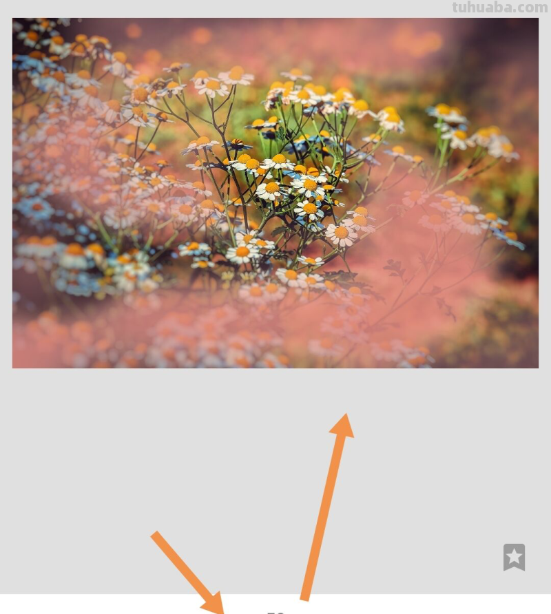 这5个摄影技巧，3句摄影口诀，可能帮你拍出更漂亮的照片