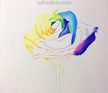 玫瑰彩铅怎么画(玫瑰彩铅怎么画简单) 玫瑰彩铅怎么画(玫瑰彩铅怎么画简单)