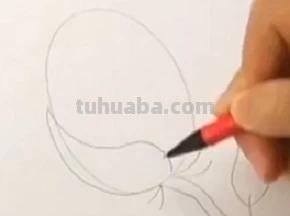 玫瑰彩铅怎么画(玫瑰彩铅怎么画简单) 玫瑰彩铅怎么画(玫瑰彩铅怎么画简单)