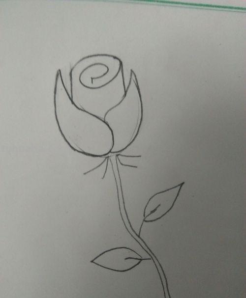 玫瑰彩铅怎么画(玫瑰彩铅怎么画简单) 玫瑰彩铅怎么画(玫瑰彩铅怎么画简单)