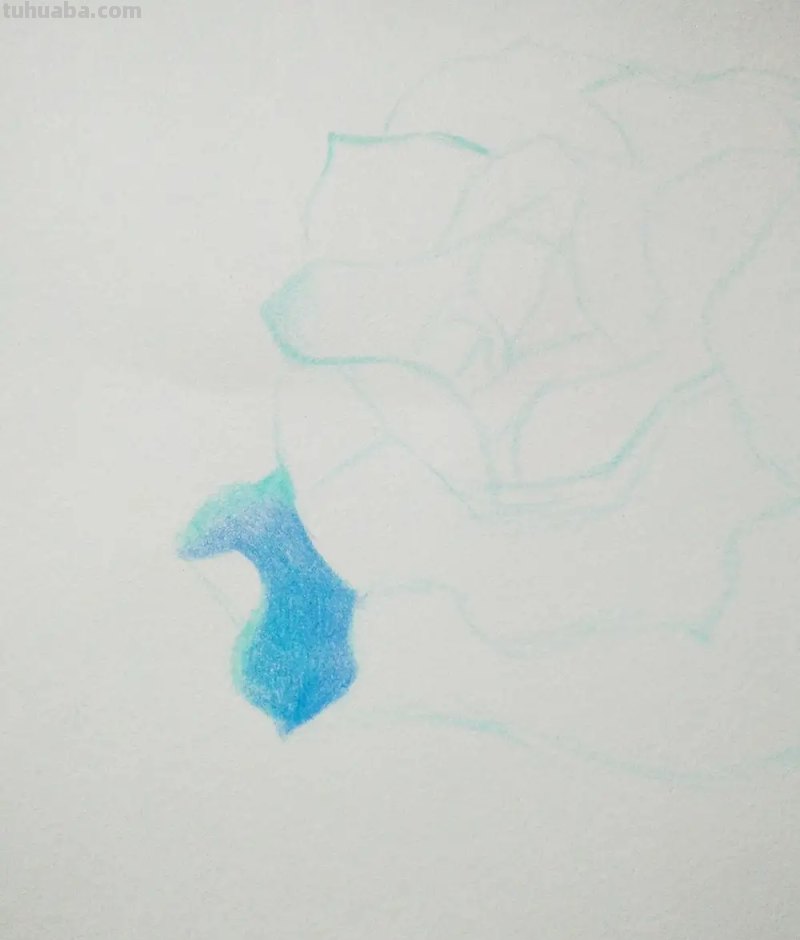 玫瑰彩铅怎么画(玫瑰彩铅怎么画简单) 玫瑰彩铅怎么画(玫瑰彩铅怎么画简单)