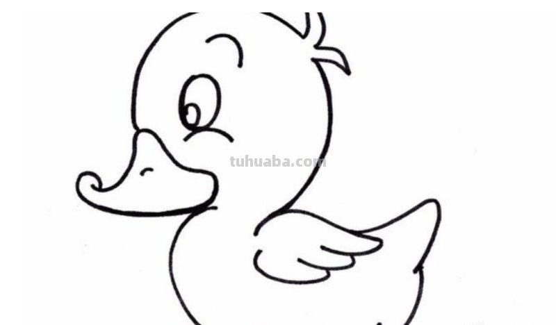 鸭子怎么画简笔画（鸭子怎么画简笔画图片）