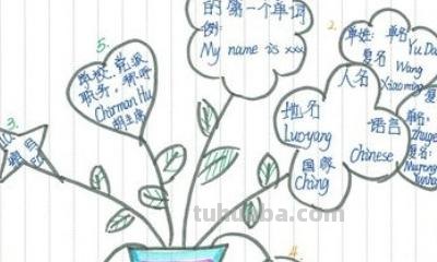 长方形思维导图怎么画（长方形思维导图怎么画图片）