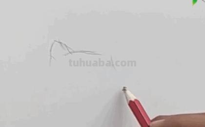 狼怎么画简笔画（大灰狼怎么画简笔画）