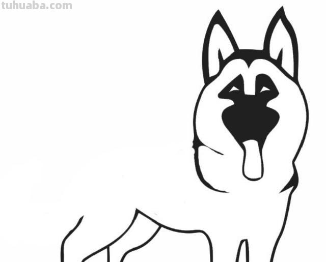 狼怎么画简笔画（大灰狼怎么画简笔画）