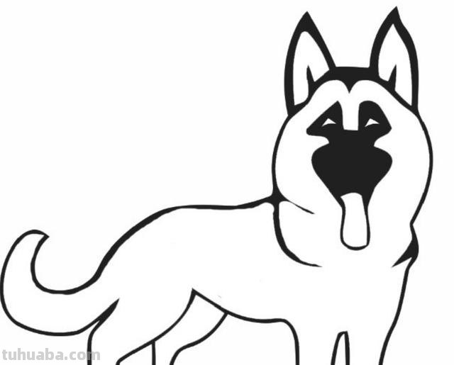 狼怎么画简笔画（大灰狼怎么画简笔画）