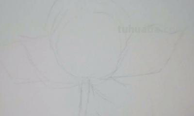 铅笔速写花朵（铅笔速写花朵图片）