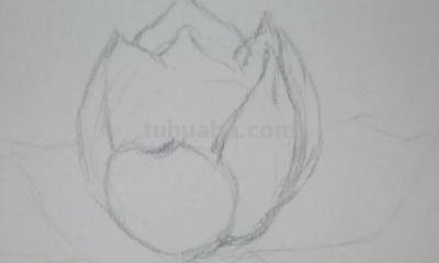 铅笔速写花朵（铅笔速写花朵图片）