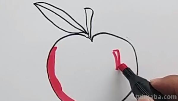 苹果简笔画怎么画（苹果简笔画怎么画?）