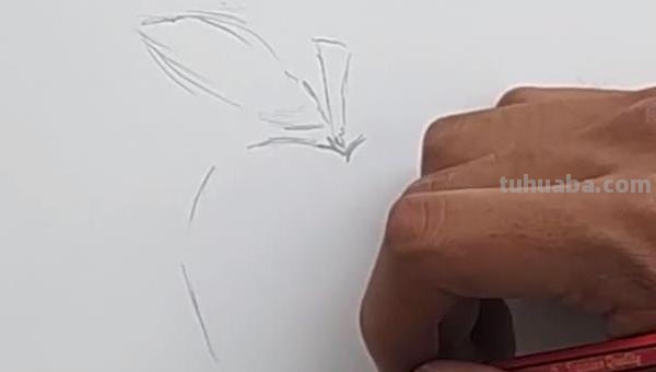 苹果简笔画怎么画（苹果简笔画怎么画?）
