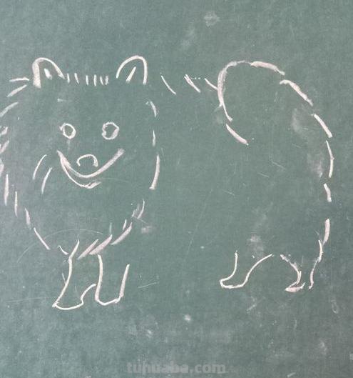 狗的简笔画怎么画（狗的简笔画怎么画?）