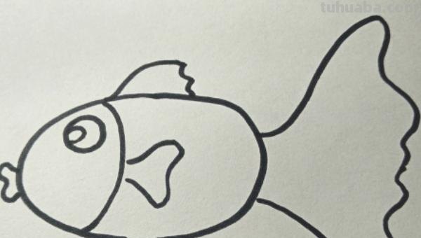 鱼的简笔画怎么画（小金鱼的简笔画怎么画）