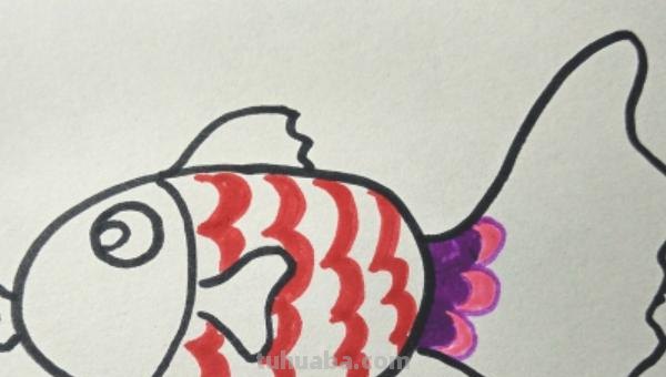 鱼的简笔画怎么画（小金鱼的简笔画怎么画）