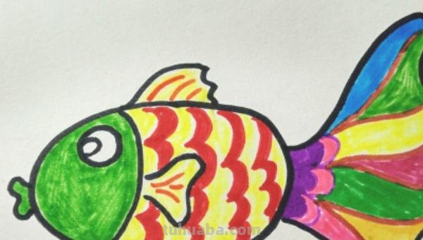 鱼的简笔画怎么画（小金鱼的简笔画怎么画）