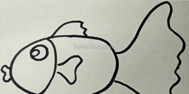 鱼的简笔画怎么画（小金鱼的简笔画怎么画）