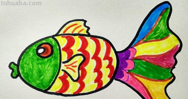 鱼的简笔画怎么画（小金鱼的简笔画怎么画）