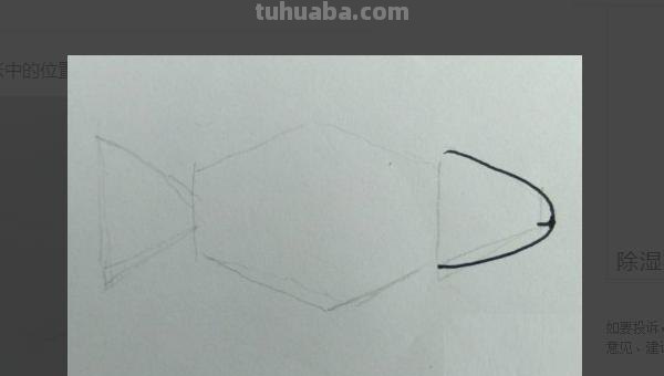 鱼的简笔画怎么画（小金鱼的简笔画怎么画）