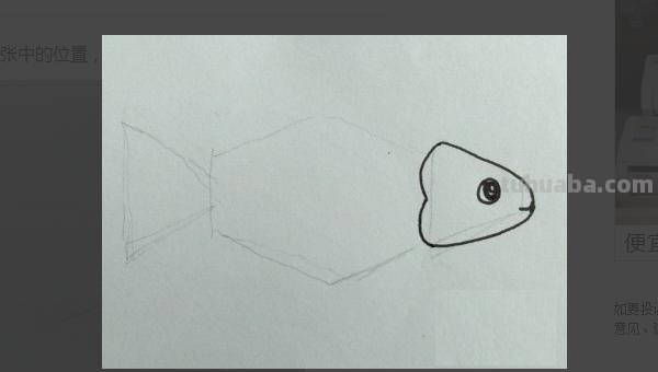 鱼的简笔画怎么画（小金鱼的简笔画怎么画）