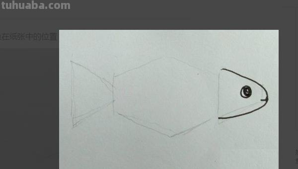 鱼的简笔画怎么画（小金鱼的简笔画怎么画）
