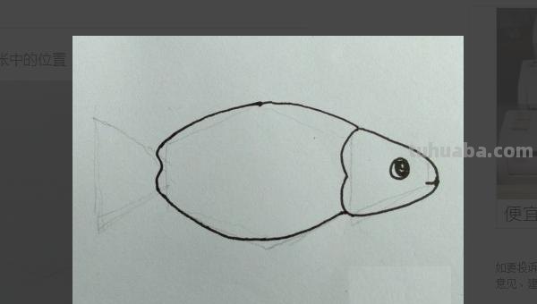 鱼的简笔画怎么画（小金鱼的简笔画怎么画）