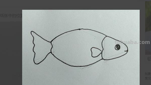鱼的简笔画怎么画（小金鱼的简笔画怎么画）
