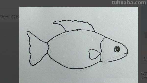 鱼的简笔画怎么画（小金鱼的简笔画怎么画）