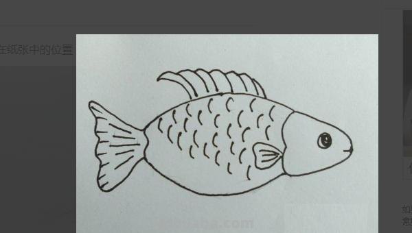 鱼的简笔画怎么画（小金鱼的简笔画怎么画）