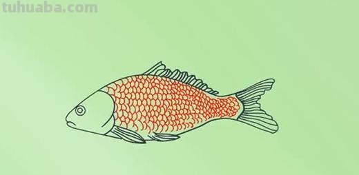 鱼的简笔画怎么画（小金鱼的简笔画怎么画）