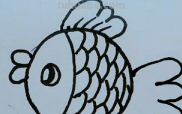 鱼的简笔画怎么画（小金鱼的简笔画怎么画）