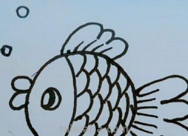 鱼的简笔画怎么画（小金鱼的简笔画怎么画）