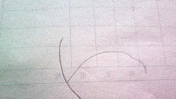 树叶怎么画简笔画（银杏树叶怎么画简笔画）