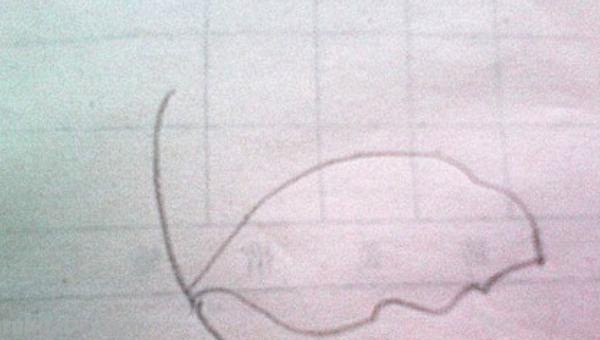 树叶怎么画简笔画(银杏树叶怎么画简笔画) 树叶怎么画简笔画(银杏树叶怎么画简笔画)