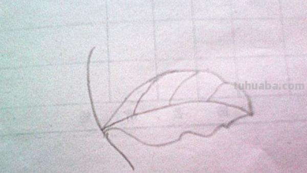 树叶怎么画简笔画(银杏树叶怎么画简笔画) 树叶怎么画简笔画(银杏树叶怎么画简笔画)