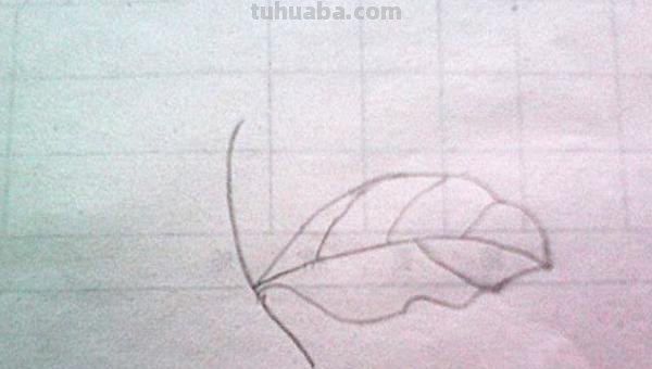 树叶怎么画简笔画(银杏树叶怎么画简笔画) 树叶怎么画简笔画(银杏树叶怎么画简笔画)