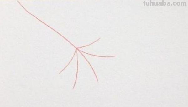 树叶怎么画简笔画(银杏树叶怎么画简笔画) 树叶怎么画简笔画(银杏树叶怎么画简笔画)