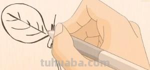 树叶怎么画简笔画(银杏树叶怎么画简笔画) 树叶怎么画简笔画(银杏树叶怎么画简笔画)