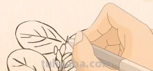 树叶怎么画简笔画(银杏树叶怎么画简笔画) 树叶怎么画简笔画(银杏树叶怎么画简笔画)