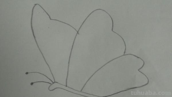 彩铅蝴蝶怎么画(彩铅蝴蝶怎么画漂亮又简单) 彩铅蝴蝶怎么画(彩铅蝴蝶怎么画漂亮又简单)