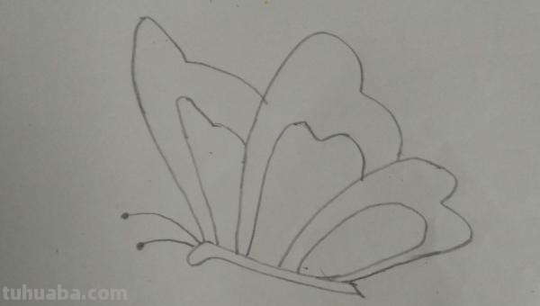 彩铅蝴蝶怎么画(彩铅蝴蝶怎么画漂亮又简单) 彩铅蝴蝶怎么画(彩铅蝴蝶怎么画漂亮又简单)