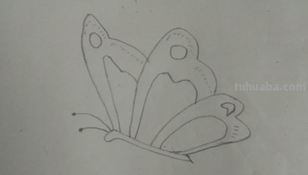 彩铅蝴蝶怎么画(彩铅蝴蝶怎么画漂亮又简单) 彩铅蝴蝶怎么画(彩铅蝴蝶怎么画漂亮又简单)
